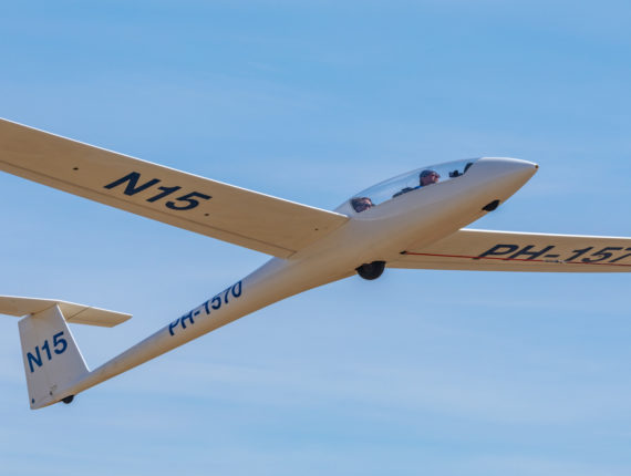 Vliegles zweefvliegen Zweefvliegen nistelrode lierstart